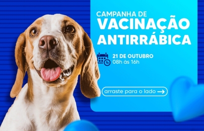  Vacinação Antirrábica para Cães e Gatos